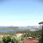 Hayat *